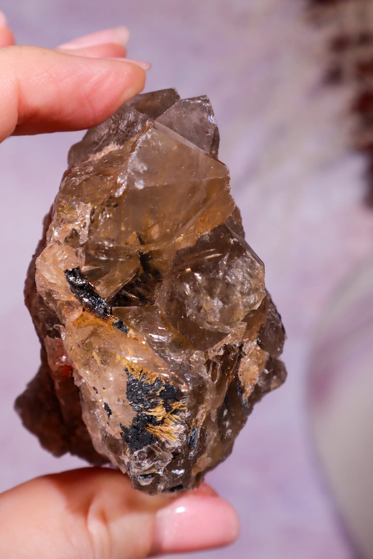 Rutilated Smoky Quartz with Hematite Cluster | 6cm | Brazil Crystal Cluster Tali & Loz Crystals