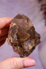 Rutilated Smoky Quartz with Hematite Cluster | 6cm | Brazil Crystal Cluster Tali & Loz Crystals