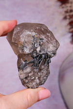 Rutilated Smoky Quartz with Hematite Cluster | 7cm | Brazil Crystal Cluster Tali & Loz Crystals