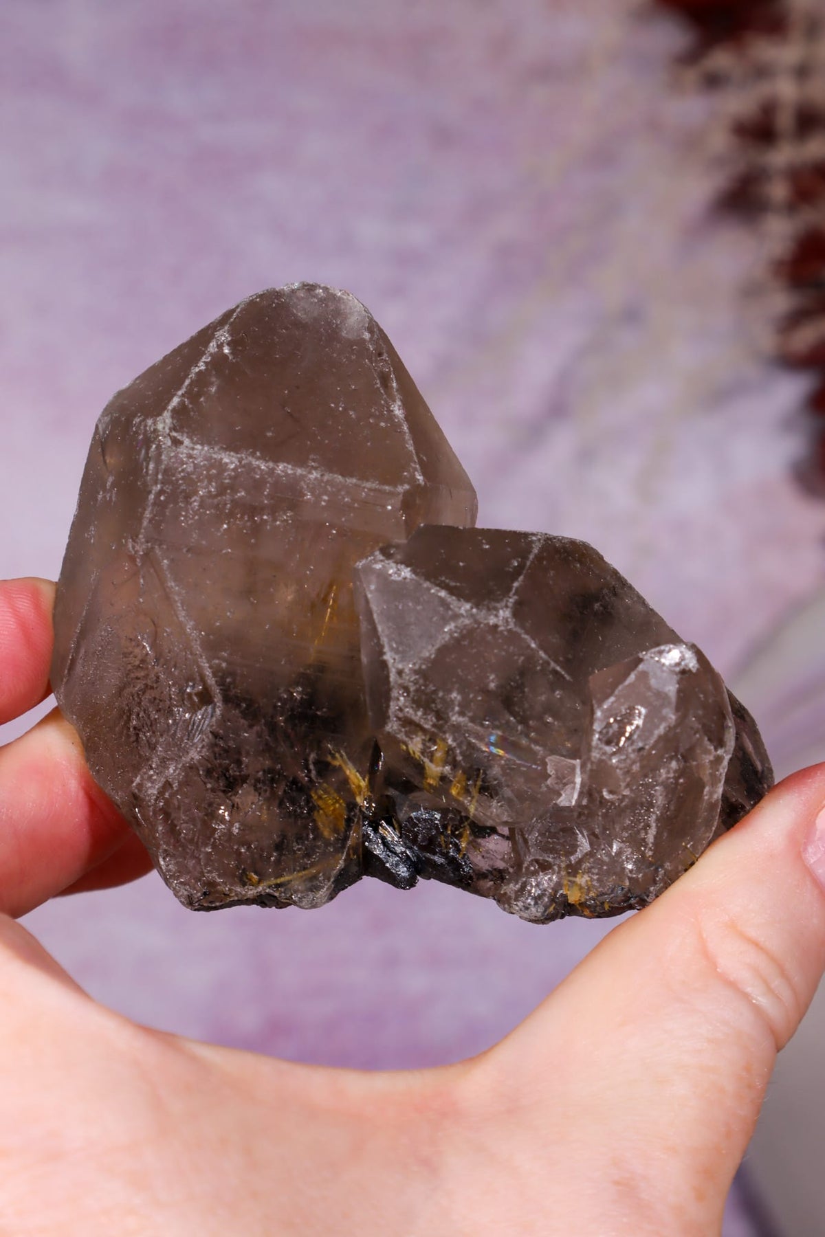 Rutilated Smoky Quartz with Hematite Cluster | 7cm | Brazil Crystal Cluster Tali & Loz Crystals