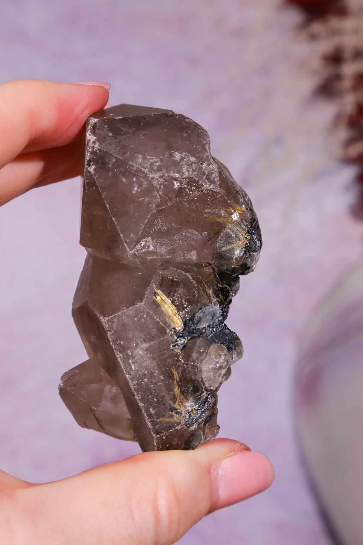 Rutilated Smoky Quartz with Hematite Cluster | 7cm | Brazil Crystal Cluster Tali & Loz Crystals