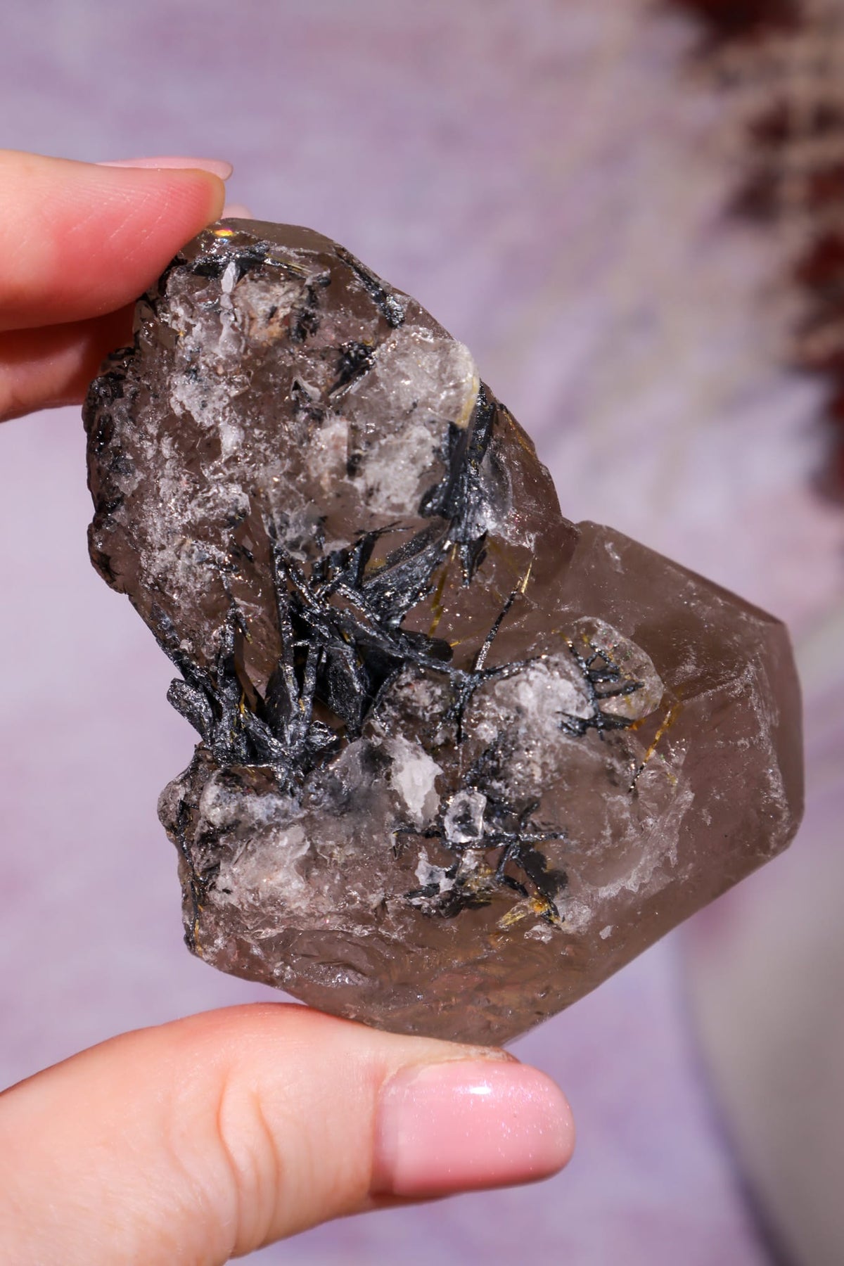 Rutilated Smoky Quartz with Hematite Cluster | 7cm | Brazil Crystal Cluster Tali & Loz Crystals