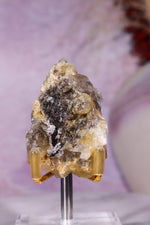 Rutilated Smoky Quartz with Hematite Specimen | 5.3cm | Brazil Crystal Specimen Tali & Loz Crystals