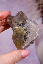 Rutilated Smoky Quartz with Hematite Specimen | 6.1cm | Brazil Crystal Specimen Tali & Loz Crystals