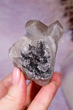 Rutilated Smoky Quartz with Hematite Specimen | 6.1cm | Brazil Crystal Specimen Tali & Loz Crystals