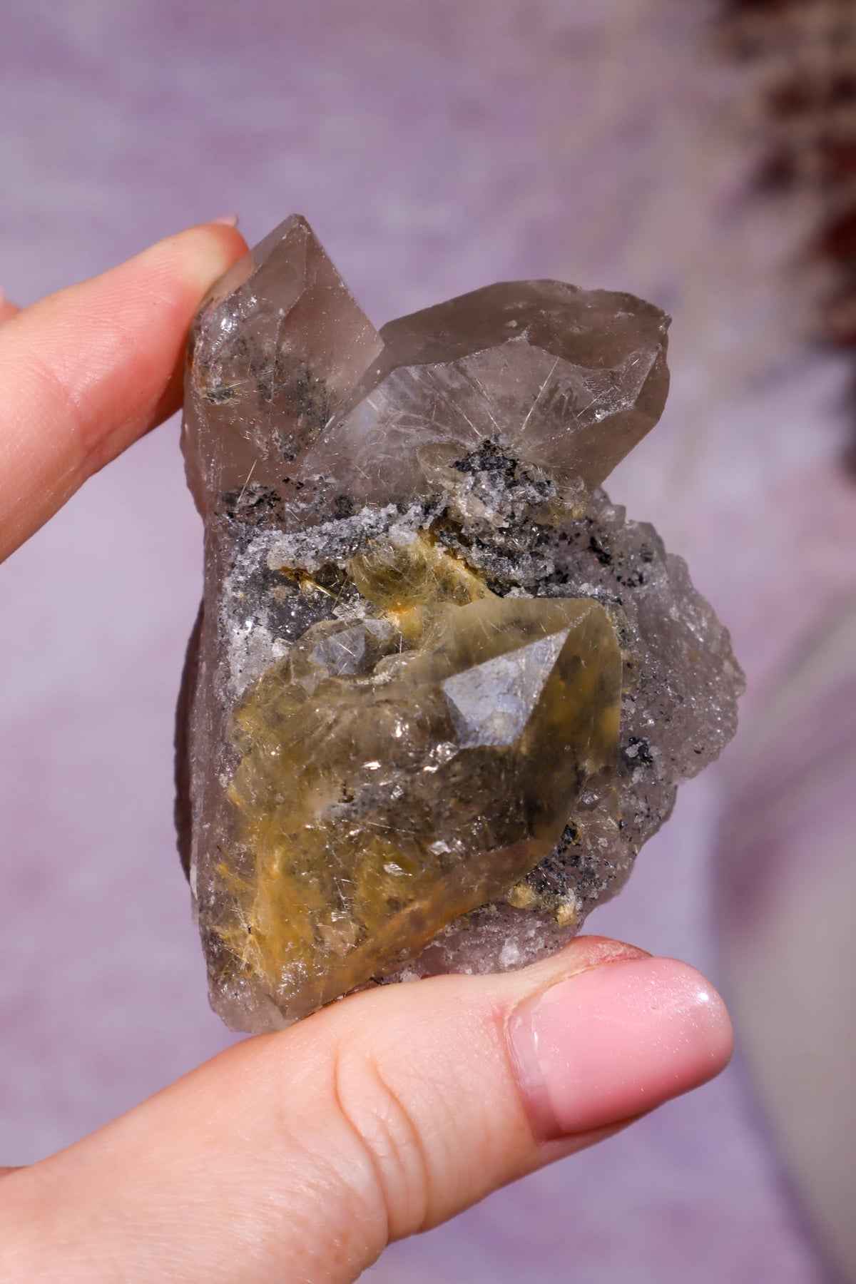 Rutilated Smoky Quartz with Hematite Specimen | 6.1cm | Brazil Crystal Specimen Tali & Loz Crystals