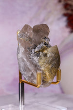 Rutilated Smoky Quartz with Hematite Specimen | 6.1cm | Brazil Crystal Specimen Tali & Loz Crystals