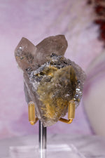 Rutilated Smoky Quartz with Hematite Specimen | 6.1cm | Brazil Crystal Specimen Tali & Loz Crystals