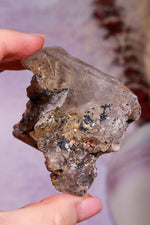 Rutilated Smoky Quartz with Hematite Specimen | 7.1cm | Brazil Crystal Specimen Tali & Loz Crystals