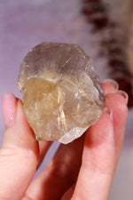 Rutile in Amethyst & Quartz Specimen | 5.7cm | Brazil Crystal Tali & Loz Crystals