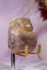 Rutile in Amethyst & Quartz Specimen | 5.7cm | Brazil Crystal Tali & Loz Crystals