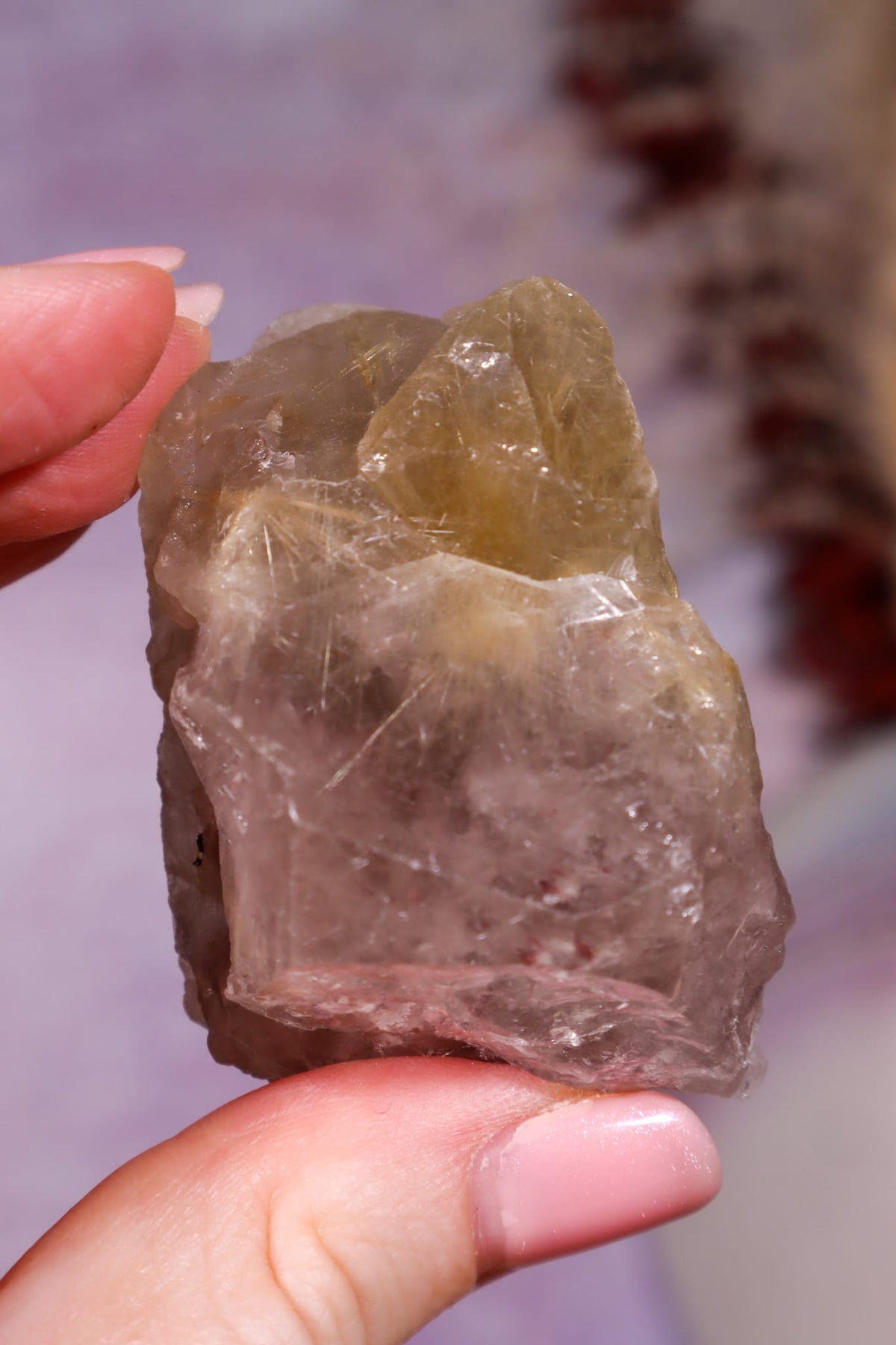 Rutile in Amethyst & Quartz Specimen | 5.7cm | Brazil Crystal Tali & Loz Crystals
