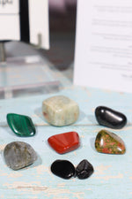 Scorpio Zodiac Crystal Set Crystal Sets Tali & Loz Crystals