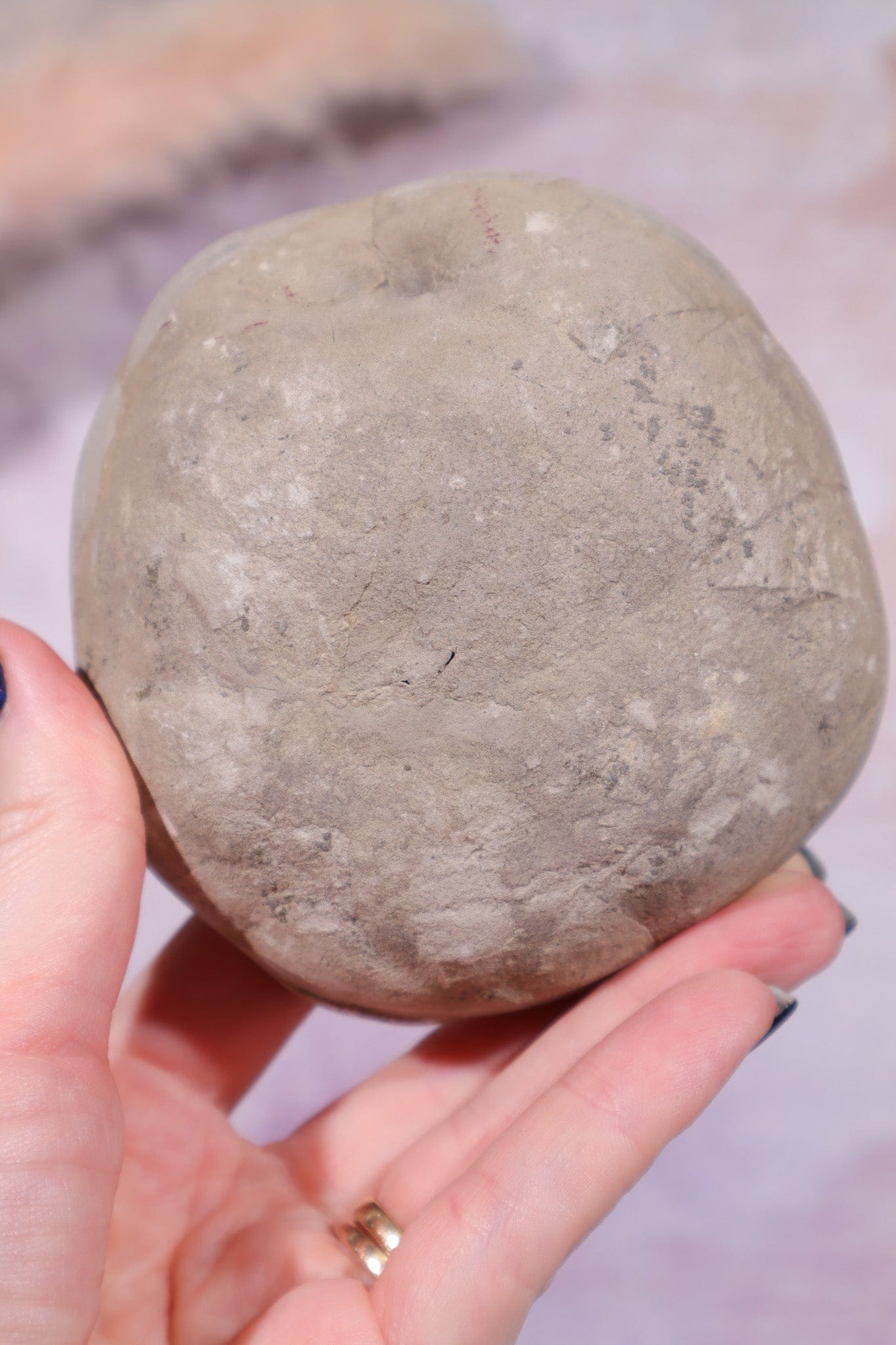 Septarian Half Polished Nodule 9.5cm Minerals Tali & Loz Crystals