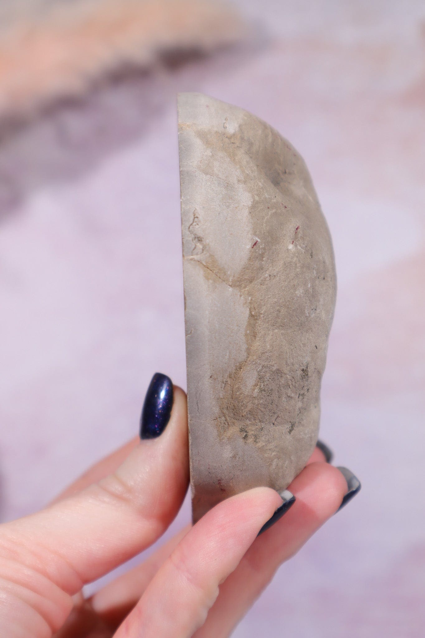 Septarian Half Polished Nodule 9.5cm Minerals Tali & Loz Crystals