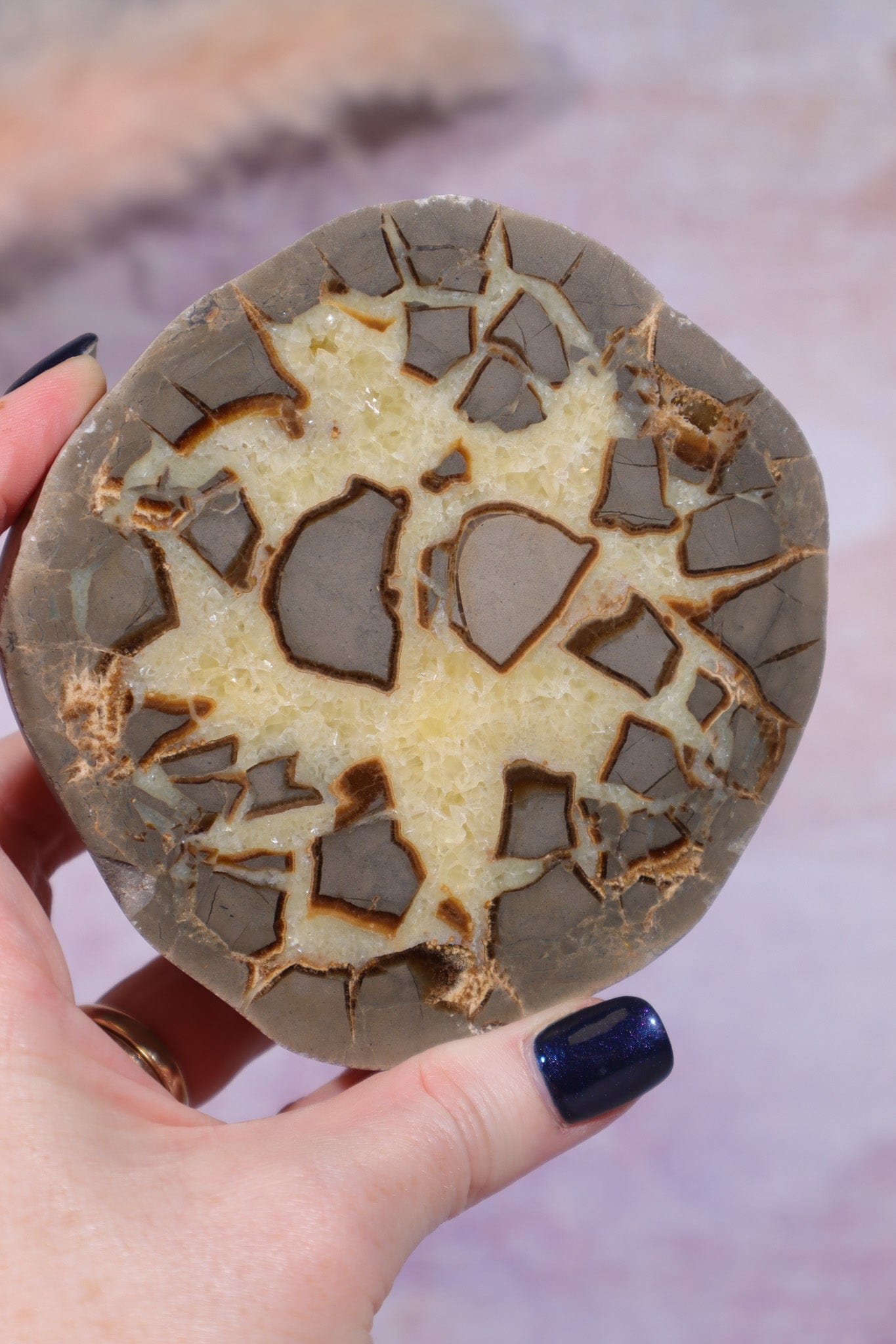 Septarian Half Polished Nodule 9.5cm Minerals Tali & Loz Crystals