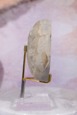 Septarian Half Polished Nodule 9.5cm Minerals Tali & Loz Crystals