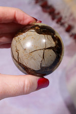 Septarian Spheres 55mm Spheres Tali & Loz Crystals