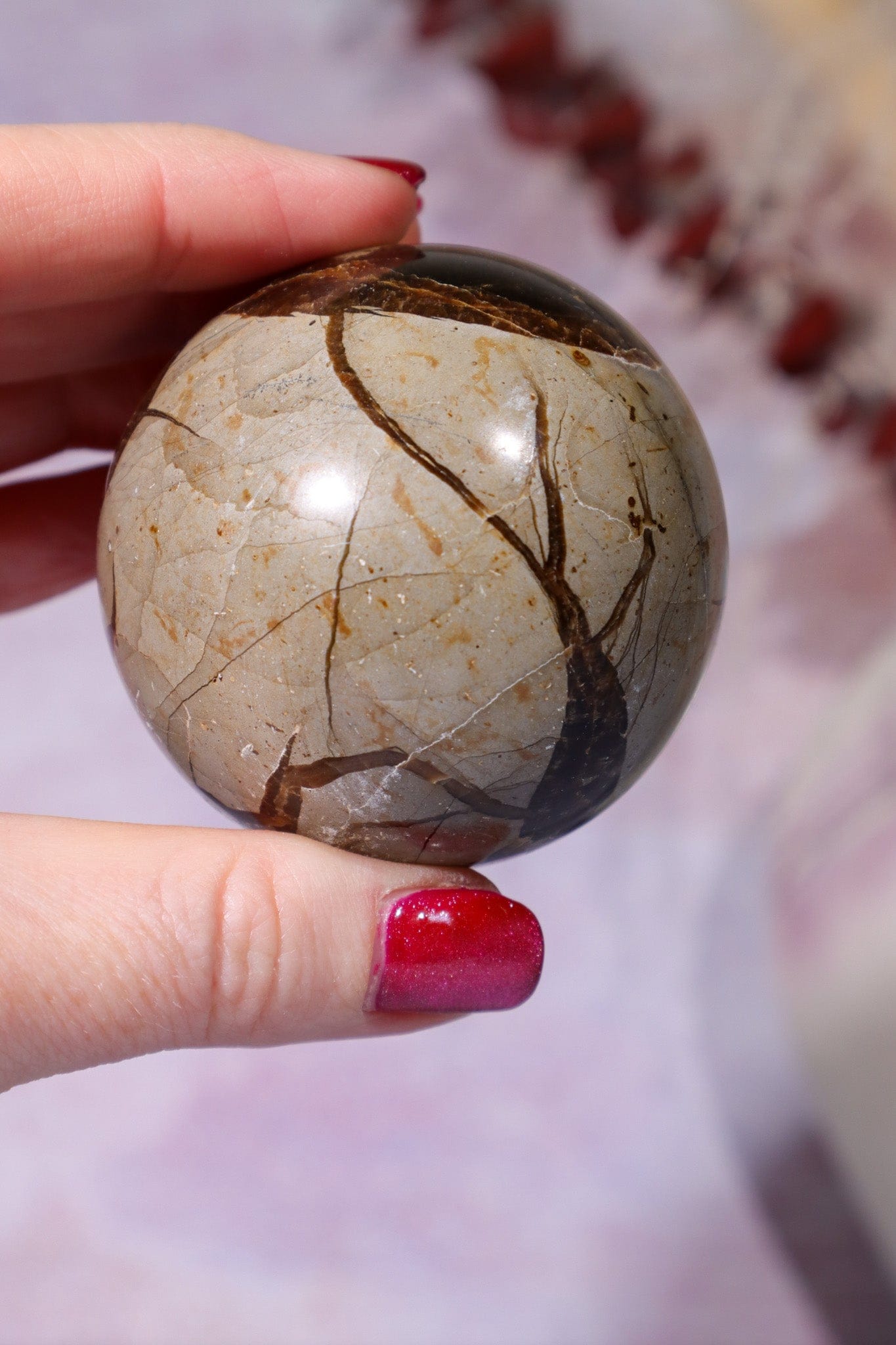 Septarian Spheres 55mm Spheres Tali & Loz Crystals
