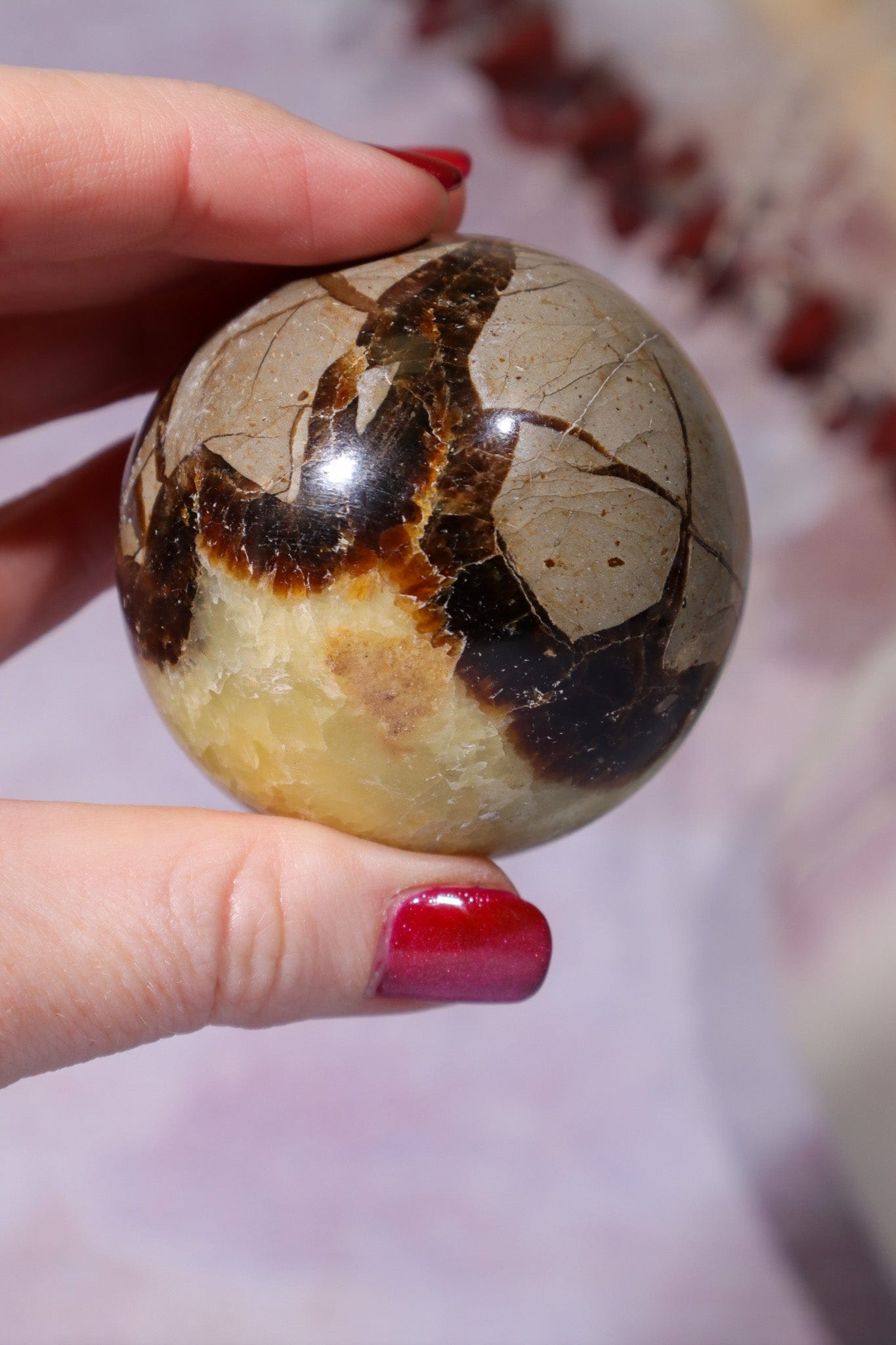 Septarian Spheres 55mm Spheres Tali & Loz Crystals