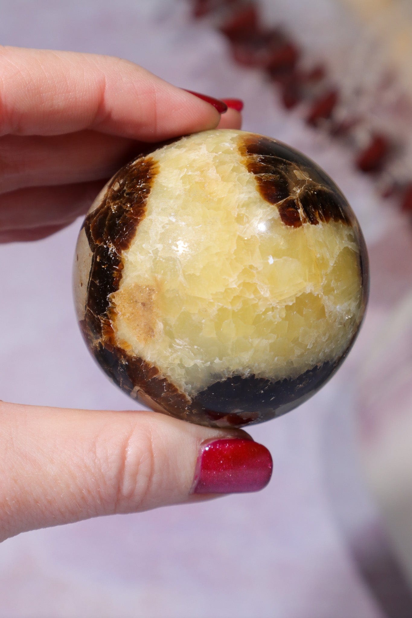 Septarian Spheres 55mm Spheres Tali & Loz Crystals
