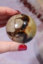 Septarian Spheres 55mm Spheres Tali & Loz Crystals