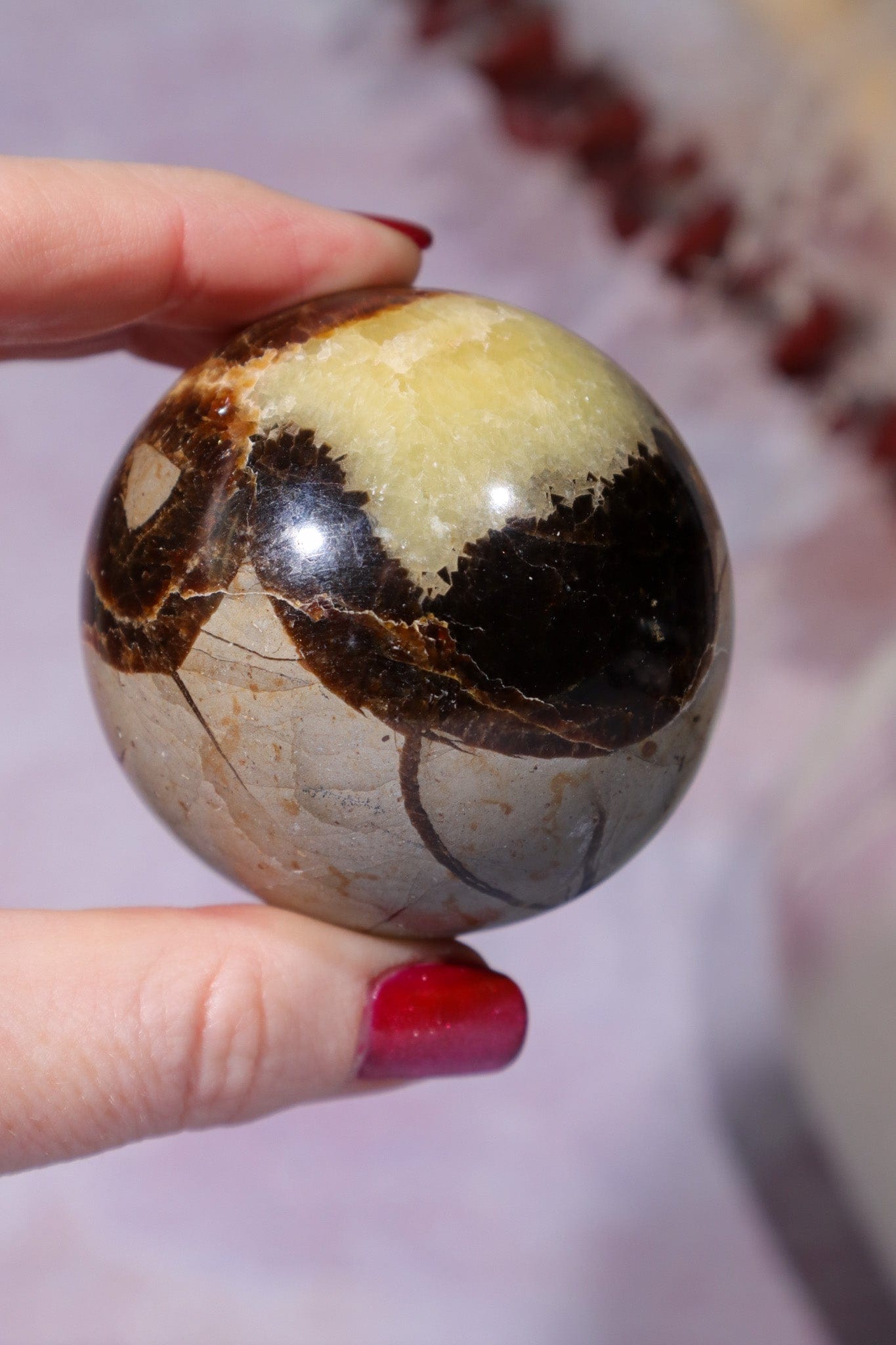 Septarian Spheres 55mm Spheres Tali & Loz Crystals