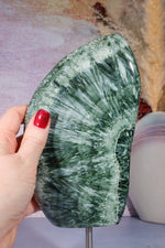 Seraphinite Wing Shaped Freeform on Stand 0.9KG, Russia Specimen Tali & Loz Crystals