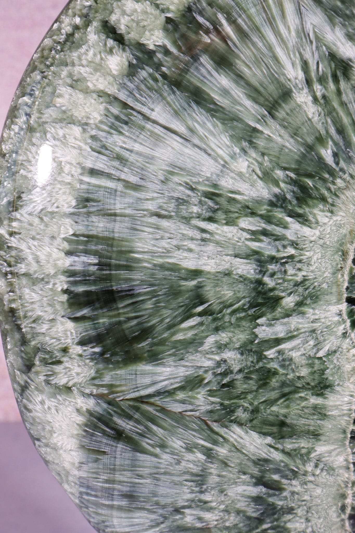 Seraphinite Wing Shaped Freeform on Stand 0.9KG, Russia Specimen Tali & Loz Crystals