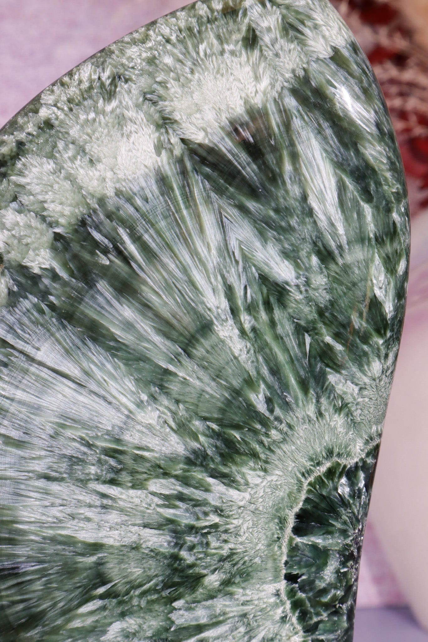 Seraphinite Wing Shaped Freeform on Stand 0.9KG, Russia Specimen Tali & Loz Crystals