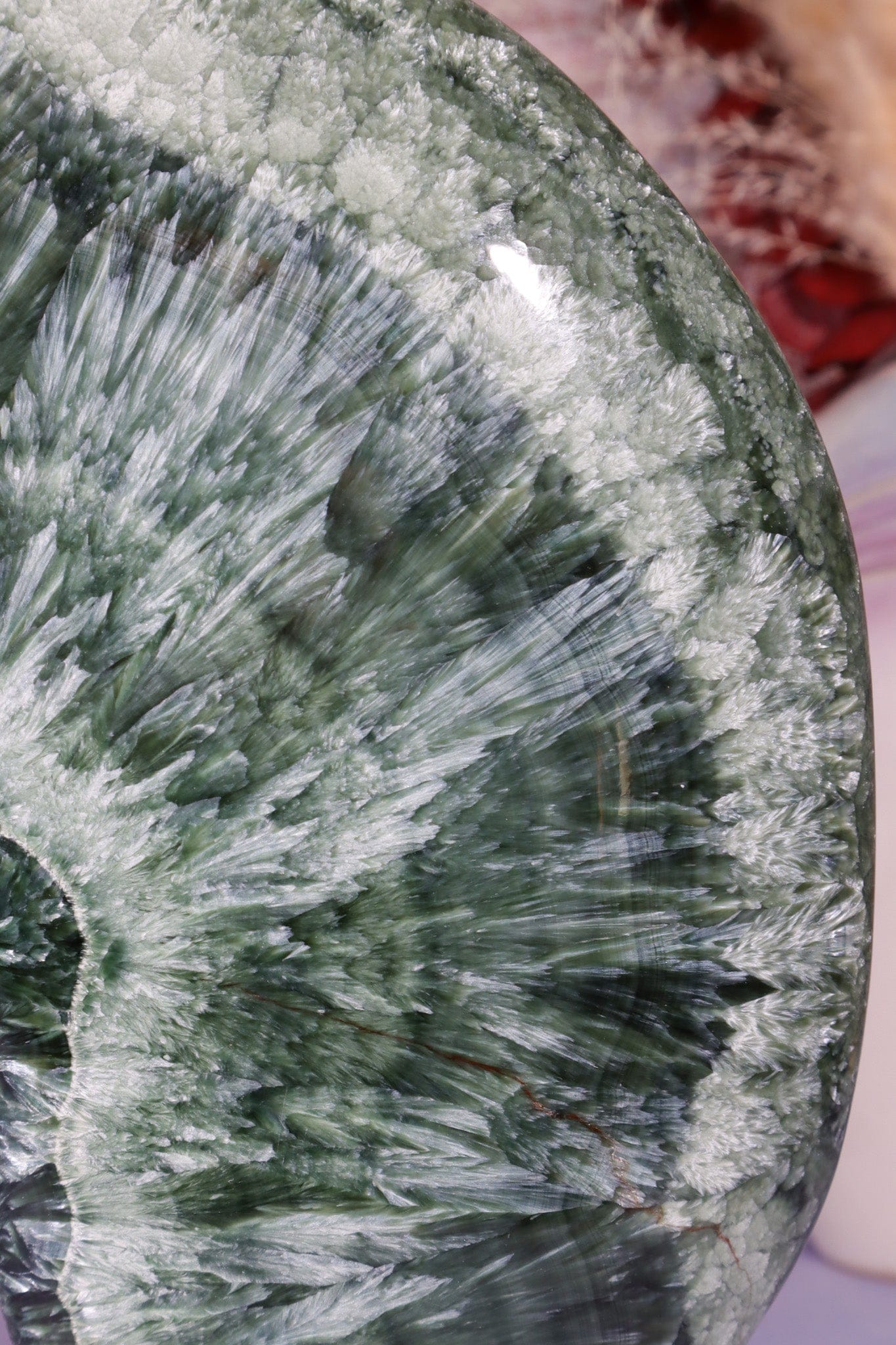 Seraphinite Wing Shaped Freeform on Stand 0.9KG, Russia Specimen Tali & Loz Crystals