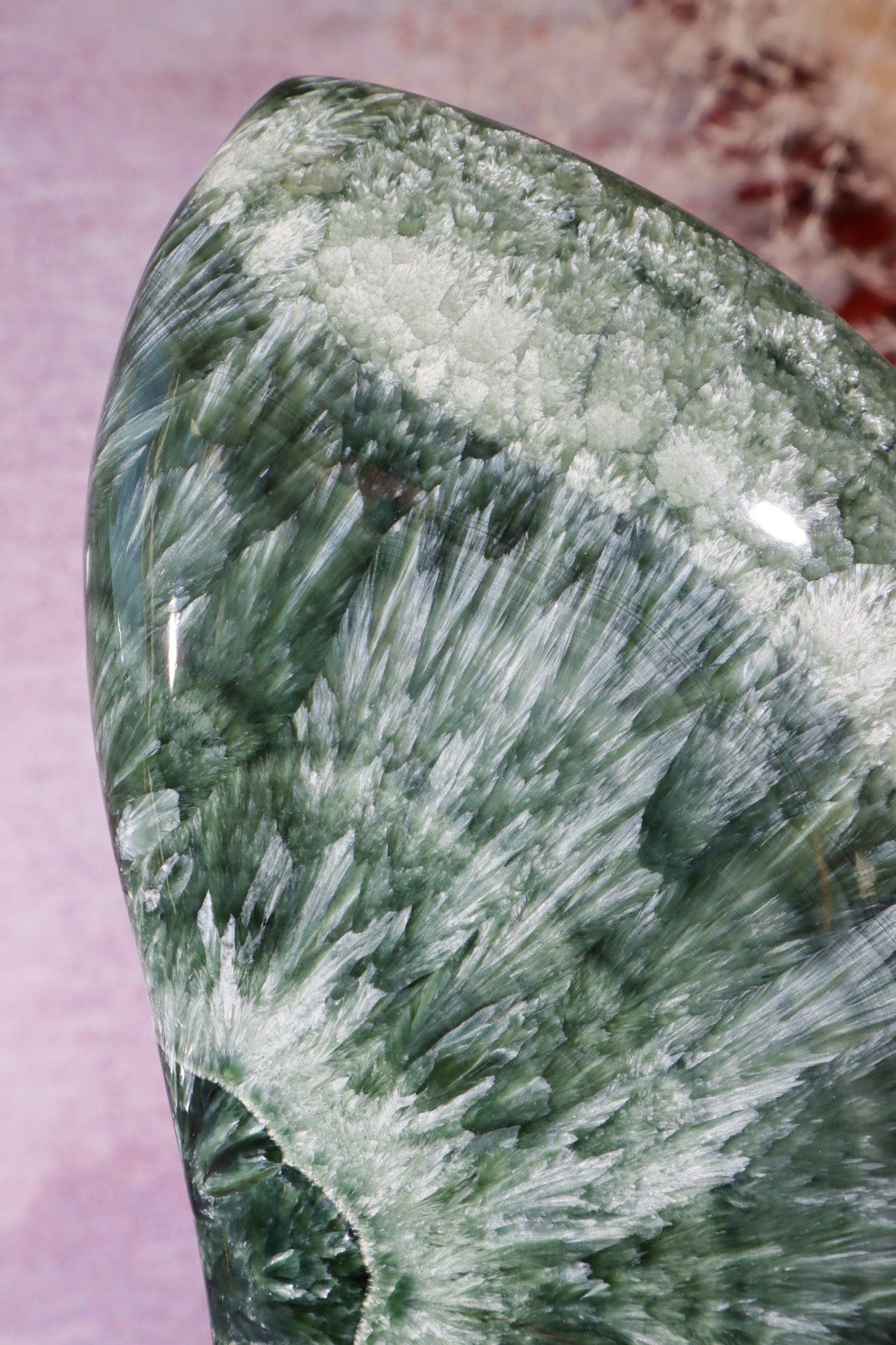 Seraphinite Wing Shaped Freeform on Stand 0.9KG, Russia Specimen Tali & Loz Crystals