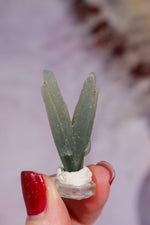 Seriphos Quartz Specimen 3.5cm, Greece Specimen Tali & Loz Crystals