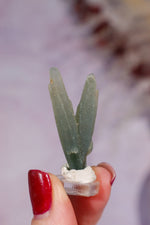 Seriphos Quartz Specimen 3.5cm, Greece Specimen Tali & Loz Crystals