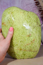 Serpentine (Green Opal) Freeform | XL | Madagascar Freeform Tali & Loz Crystals