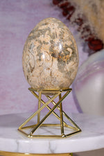 Shell Jasper Egg | 7.5cm | Mexico Eggs Tali & Loz Crystals