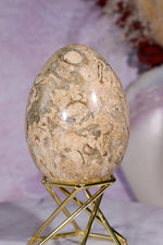 Shell Jasper Egg | 7.5cm | Mexico Eggs Tali & Loz Crystals