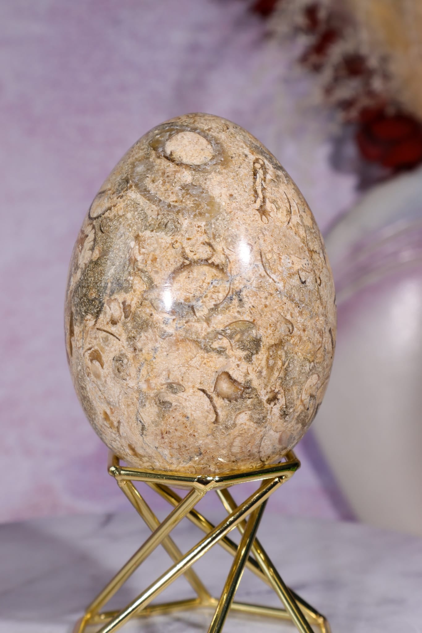 Shell Jasper Egg | 7.5cm | Mexico Eggs Tali & Loz Crystals
