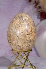 Shell Jasper Egg | 7.5cm | Mexico Eggs Tali & Loz Crystals