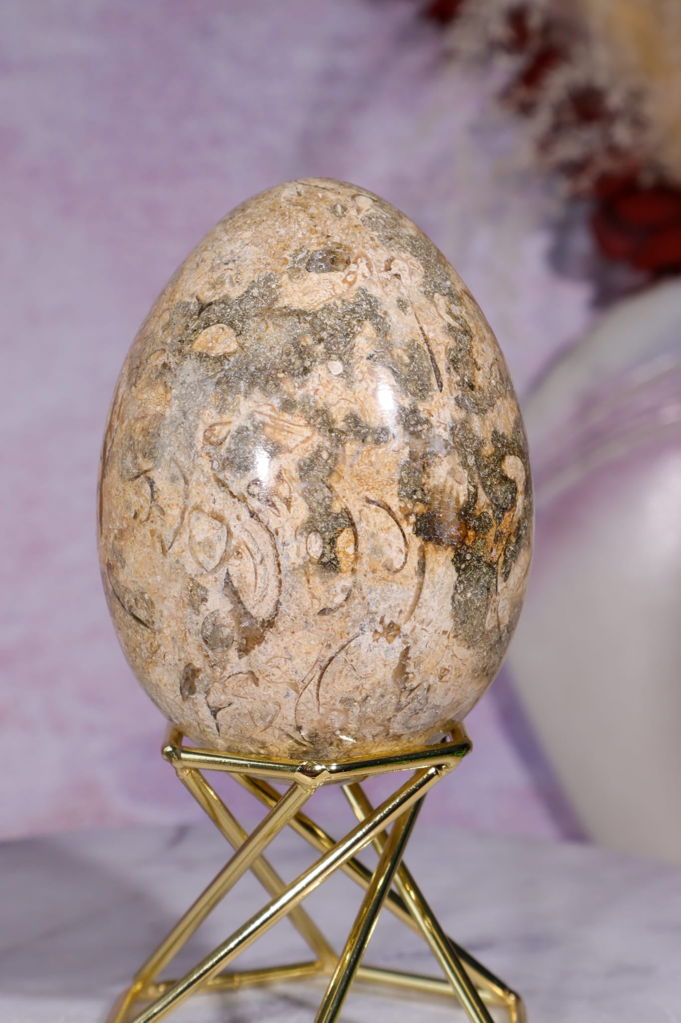 Shell Jasper Egg | 7.5cm | Mexico Eggs Tali & Loz Crystals