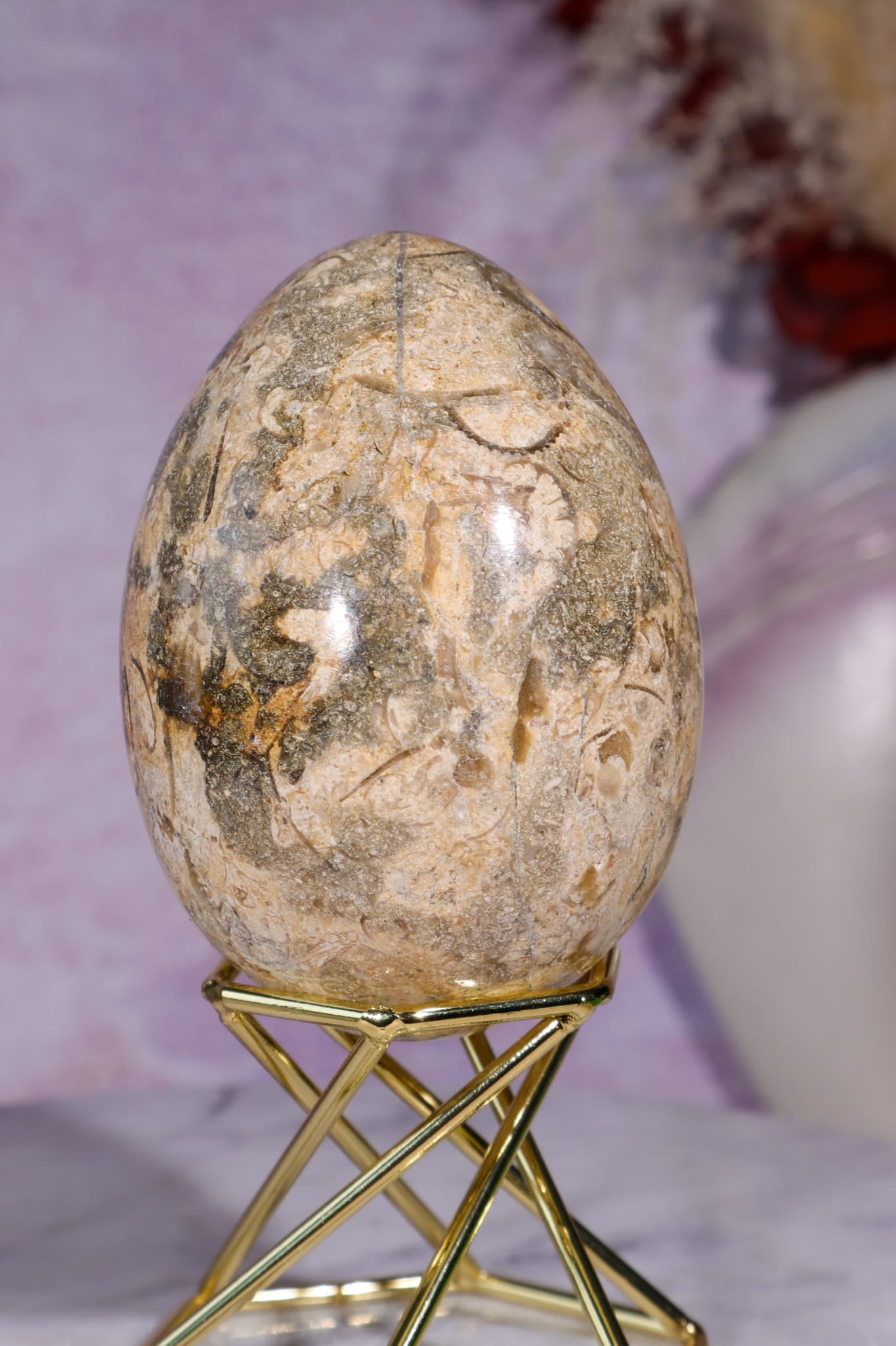 Shell Jasper Egg | 7.5cm | Mexico Eggs Tali & Loz Crystals