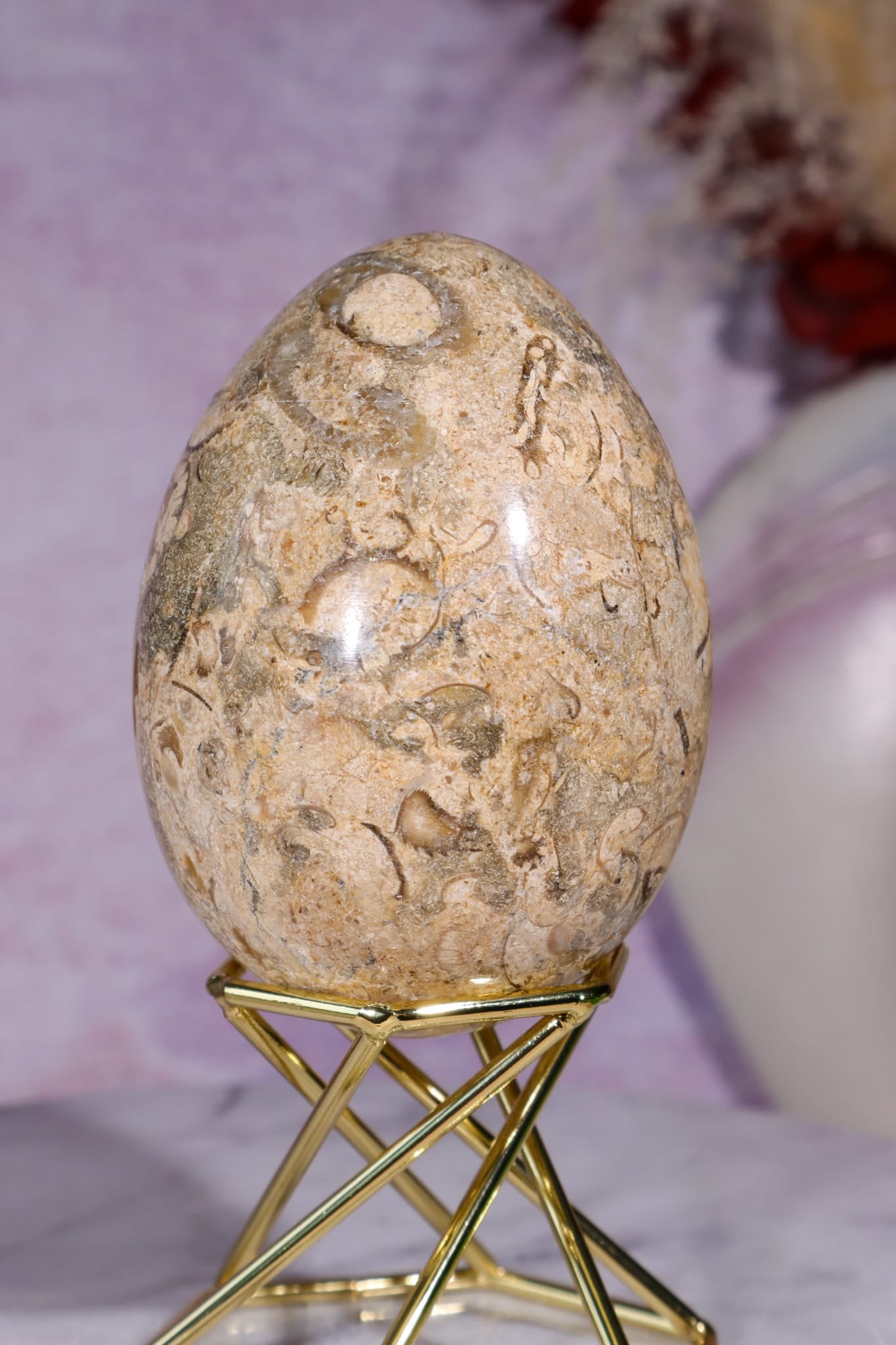 Shell Jasper Egg | 7.5cm | Mexico Eggs Tali & Loz Crystals