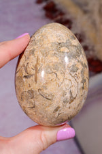 Shell Jasper Egg | 7.5cm | Mexico Eggs Tali & Loz Crystals