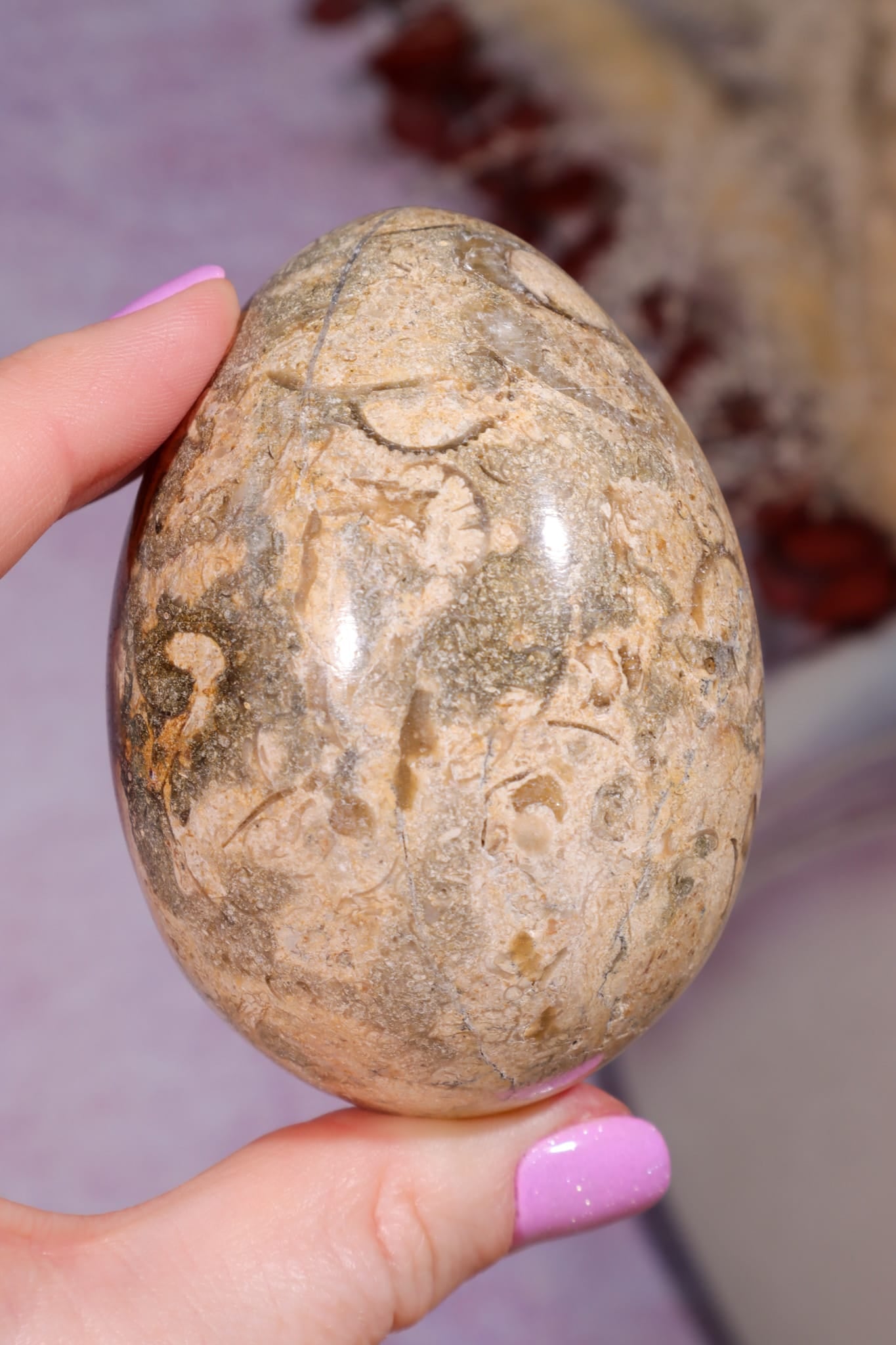 Shell Jasper Egg | 7.5cm | Mexico Eggs Tali & Loz Crystals