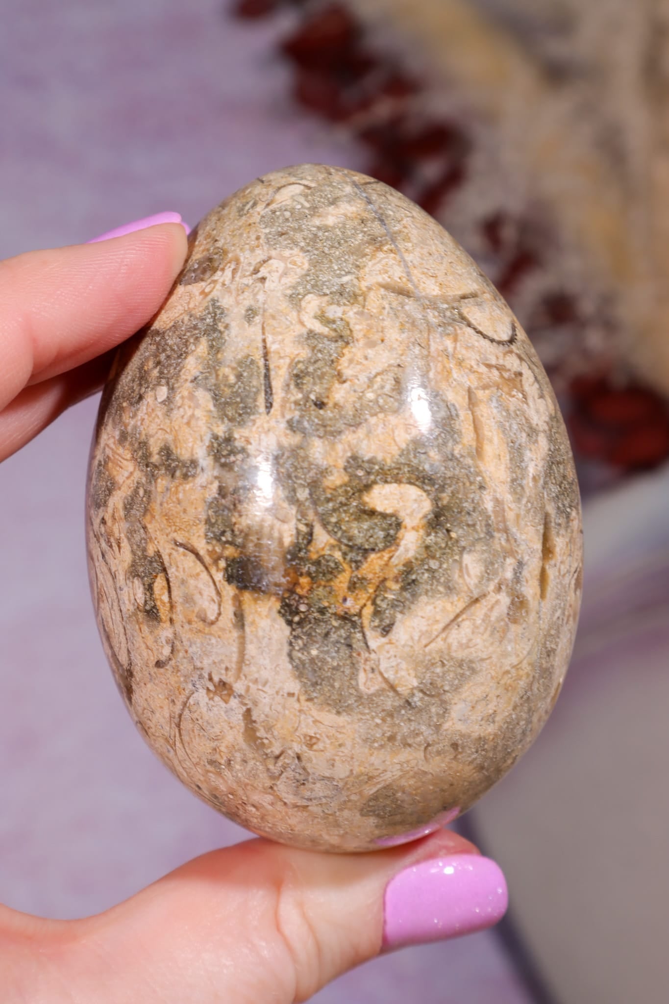 Shell Jasper Egg | 7.5cm | Mexico Eggs Tali & Loz Crystals