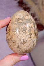 Shell Jasper Egg | 7.5cm | Mexico Eggs Tali & Loz Crystals
