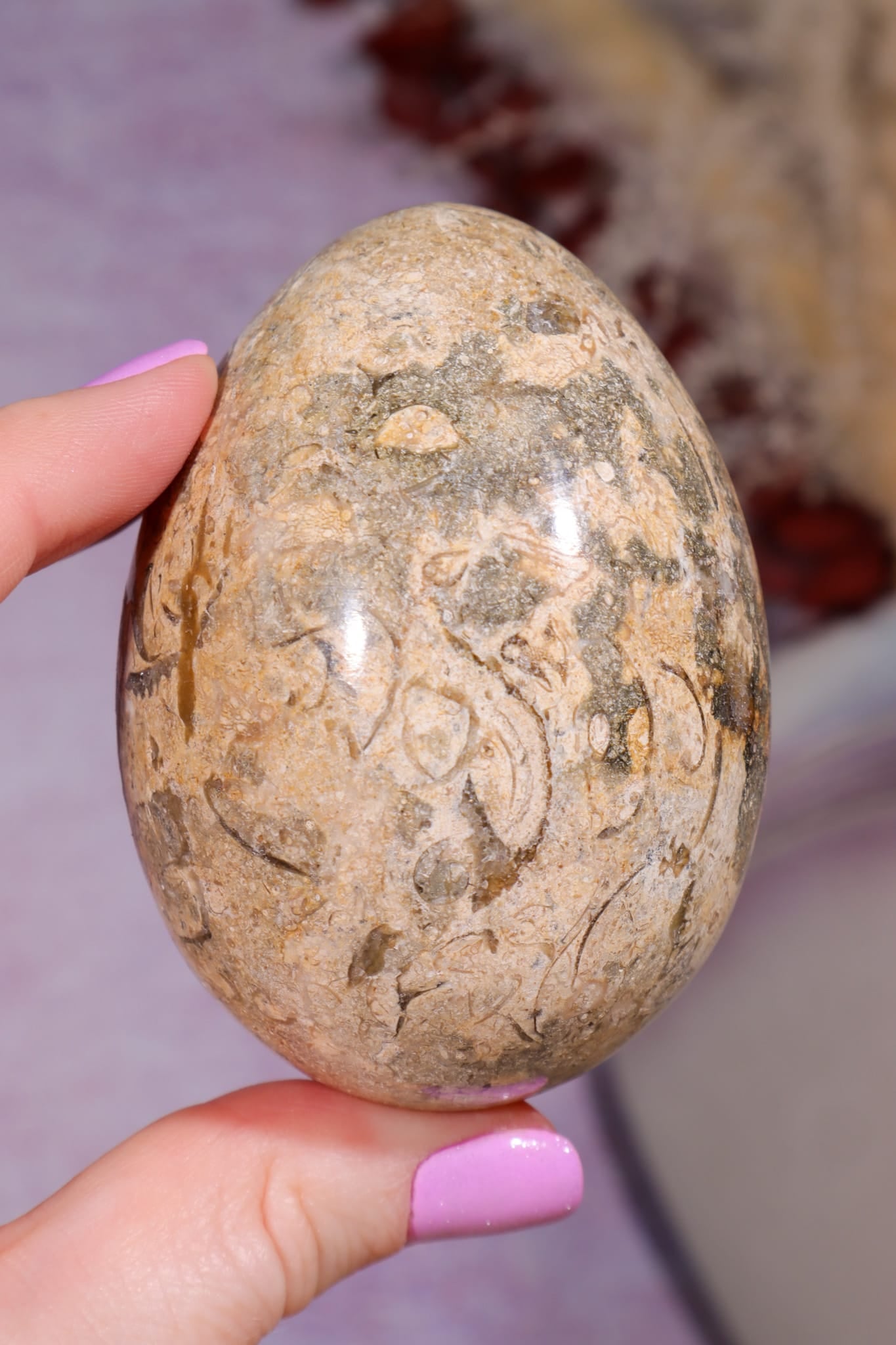 Shell Jasper Egg | 7.5cm | Mexico Eggs Tali & Loz Crystals