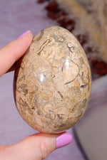 Shell Jasper Egg | 7.5cm | Mexico Eggs Tali & Loz Crystals