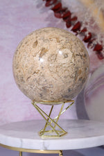 Shell Jasper Sphere 1.2KG sphere Tali & Loz Crystals