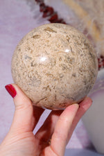 Shell Jasper Sphere 1.2KG sphere Tali & Loz Crystals